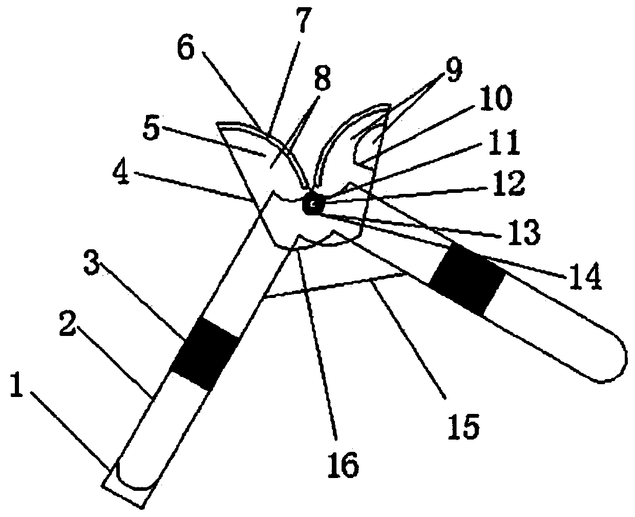 Scissors for fruit trees