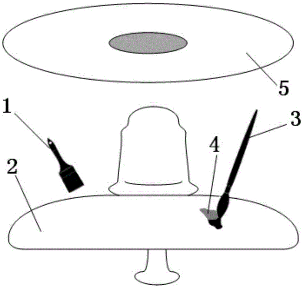 Shedding area detection method of RTV coating of insulator and detection device