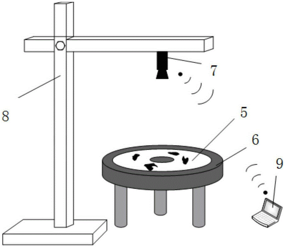 Shedding area detection method of RTV coating of insulator and detection device