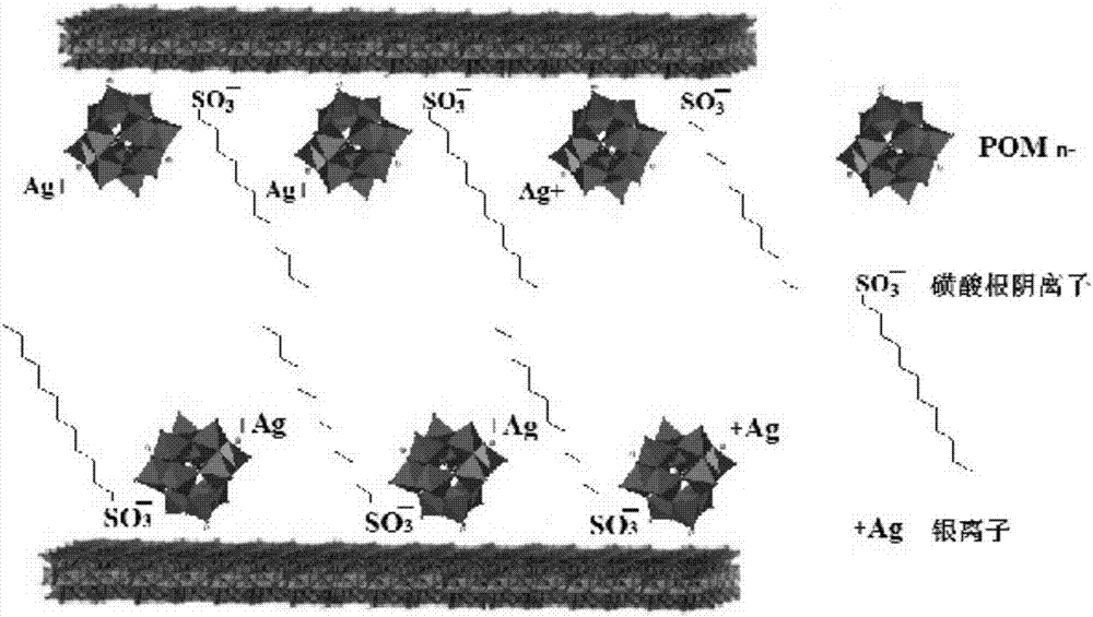 Antibacterial polypropylene master batch and preparation method thereof