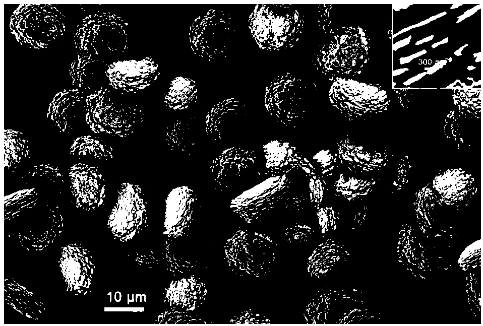 Preparation method of calcium carbonate with layered structure