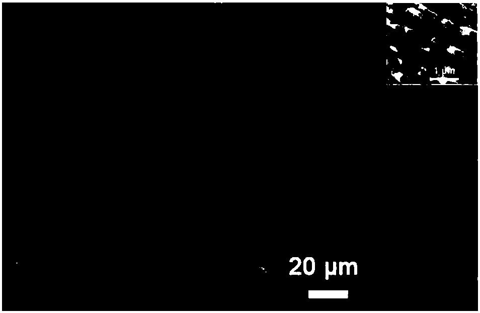 Preparation method of calcium carbonate with layered structure