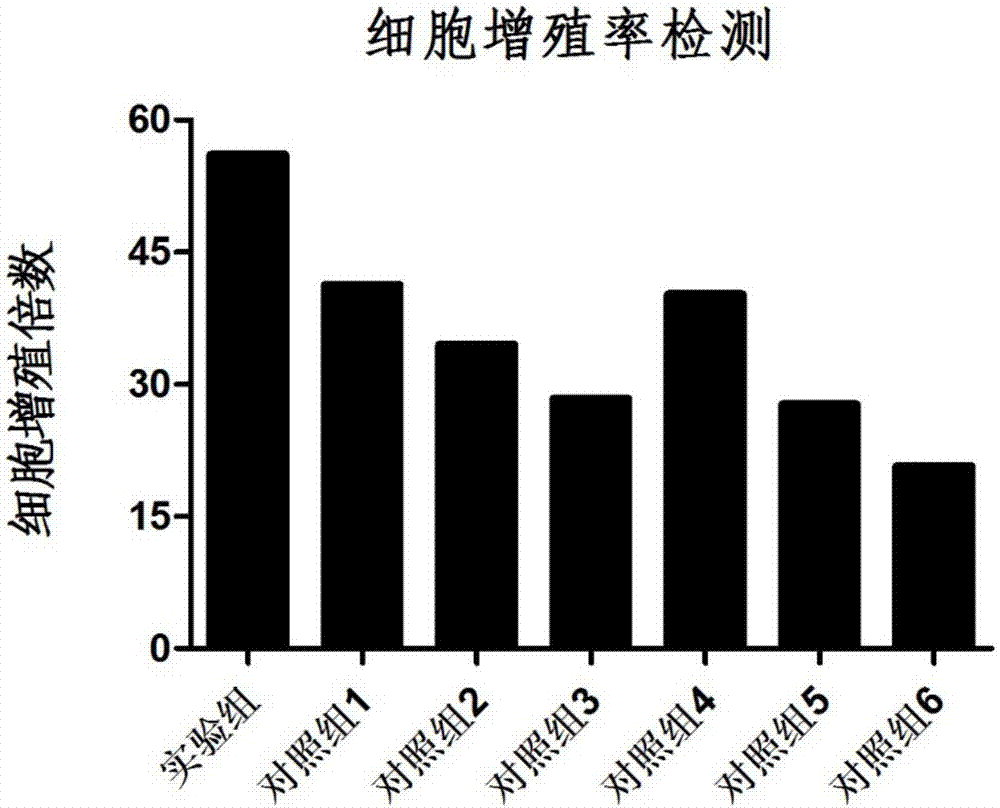 Antigen-specific T lymphocyte freezing medium and preparation method and application thereof