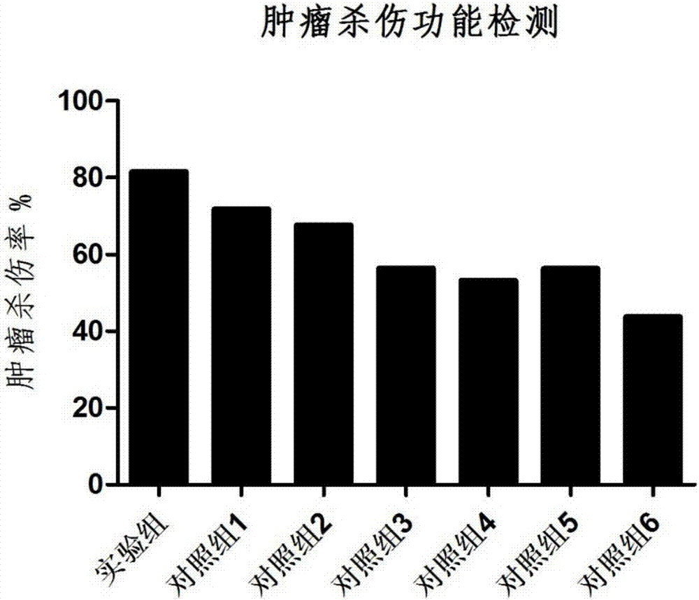 Antigen-specific T lymphocyte freezing medium and preparation method and application thereof