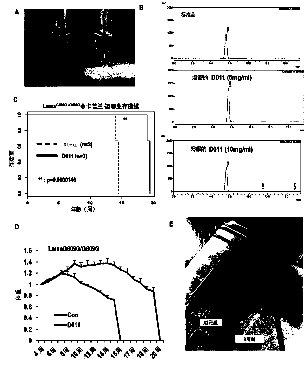 Pharmaceutical composition for preventing or treating aging-related diseases containing decursin derivative as active ingredient