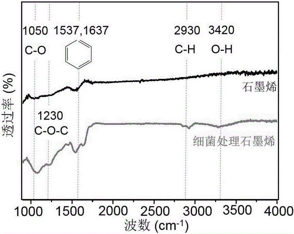 Method for oxidizing and degrading graphite material through naphthalene degrading bacteria