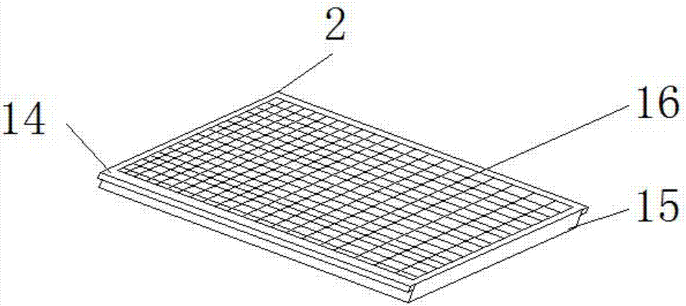 Edible mushroom cleaning and dehydrating device