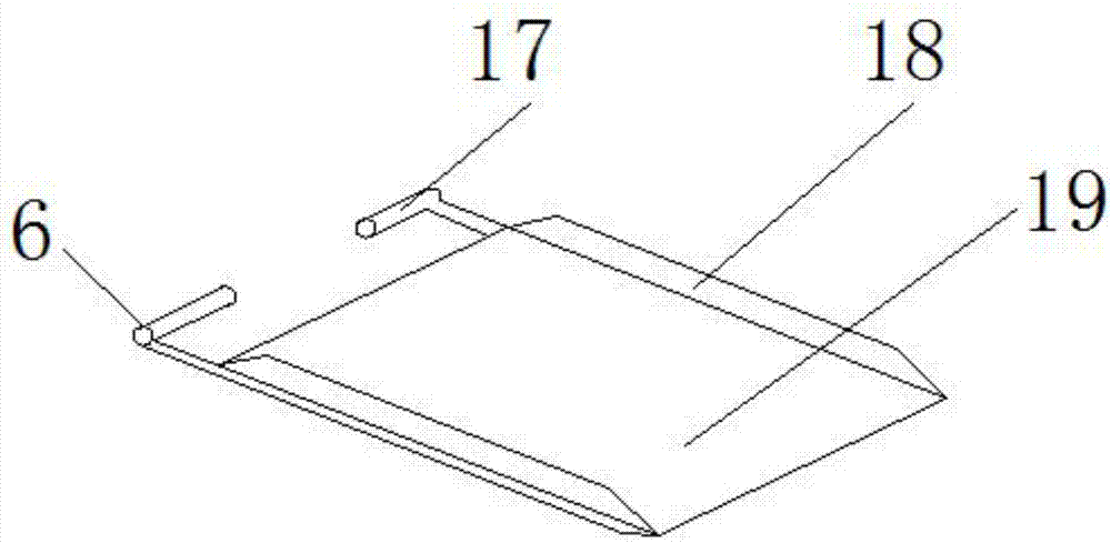 Edible mushroom cleaning and dehydrating device