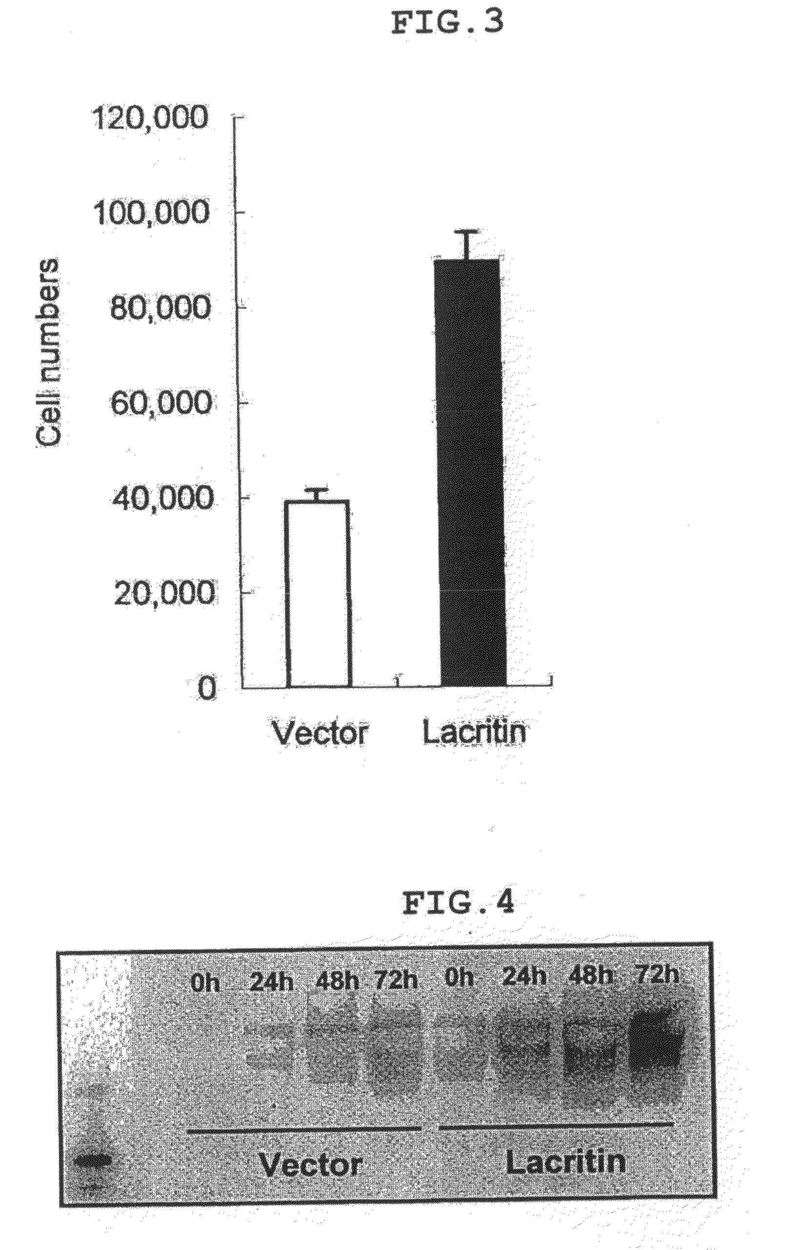 Cell capable of expressing lacritin at high level