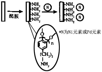 Extraction process of salidroside