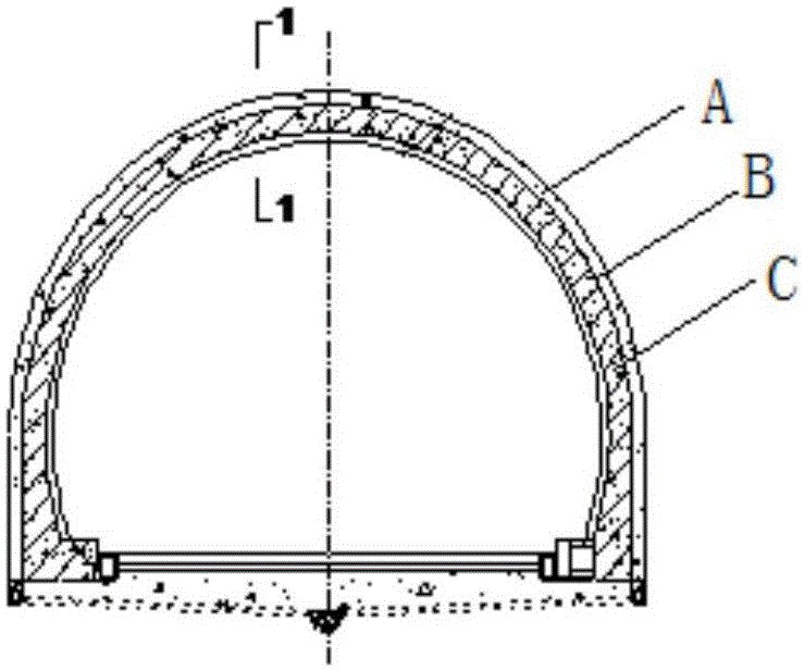 Tunnel leakage treatment device