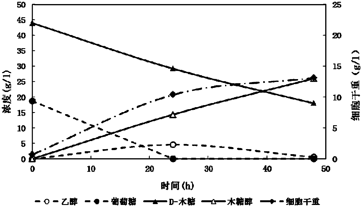 Industrial saccharomyces cerevisiae strain capable of producing xylitol and construction method of industrial saccharomyces cerevisiae strain