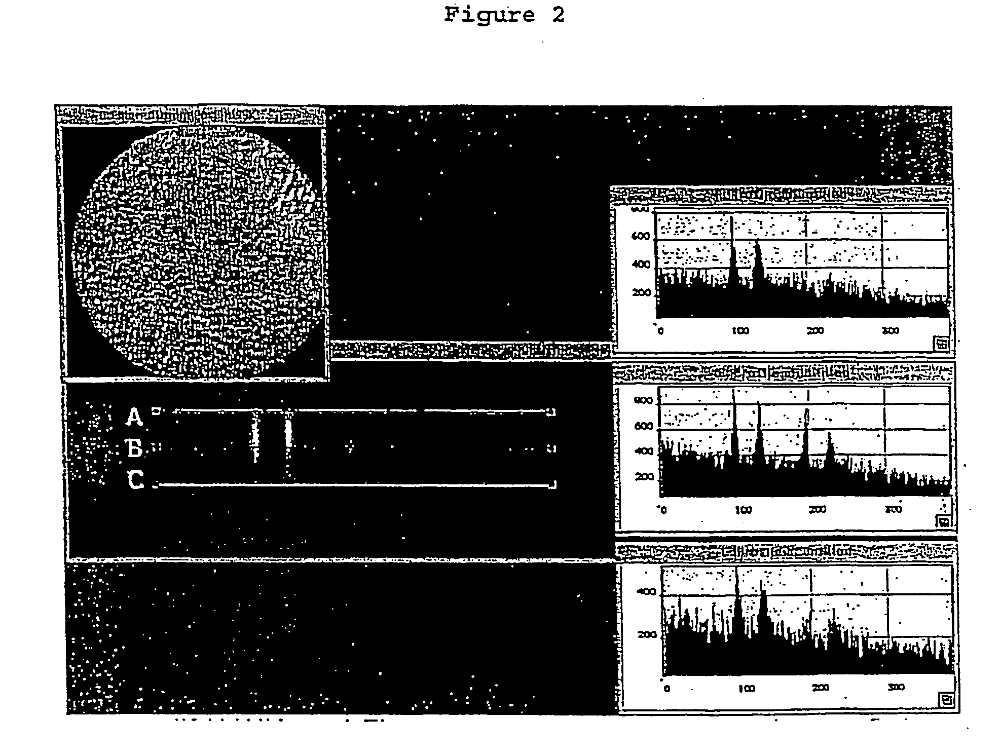 Core/shell nanoparticles suitable for(f)ret-assays