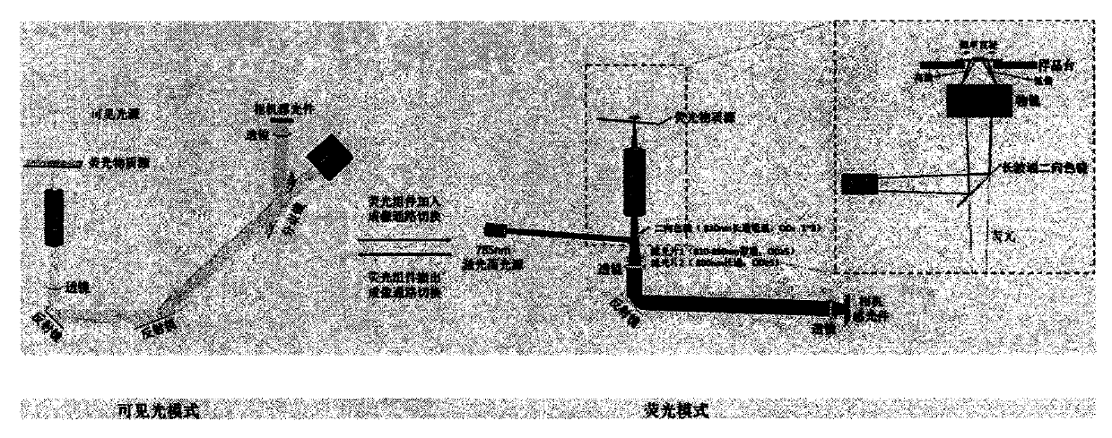 Device design of high-sensitivity visible-near infrared dual-channel laser fluorescence microscope and imaging method thereof