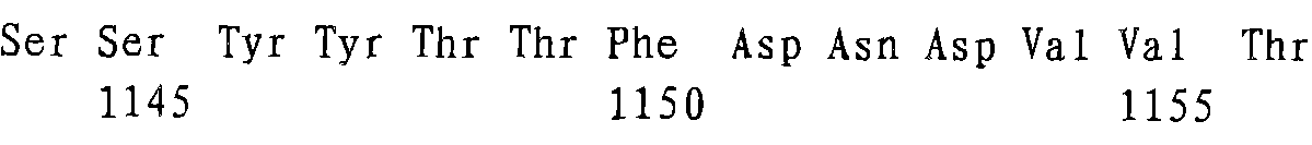 Eosinophilic kidney type avian infectious bronchitis virus (IBV) virulent vaccine strain and application thereof