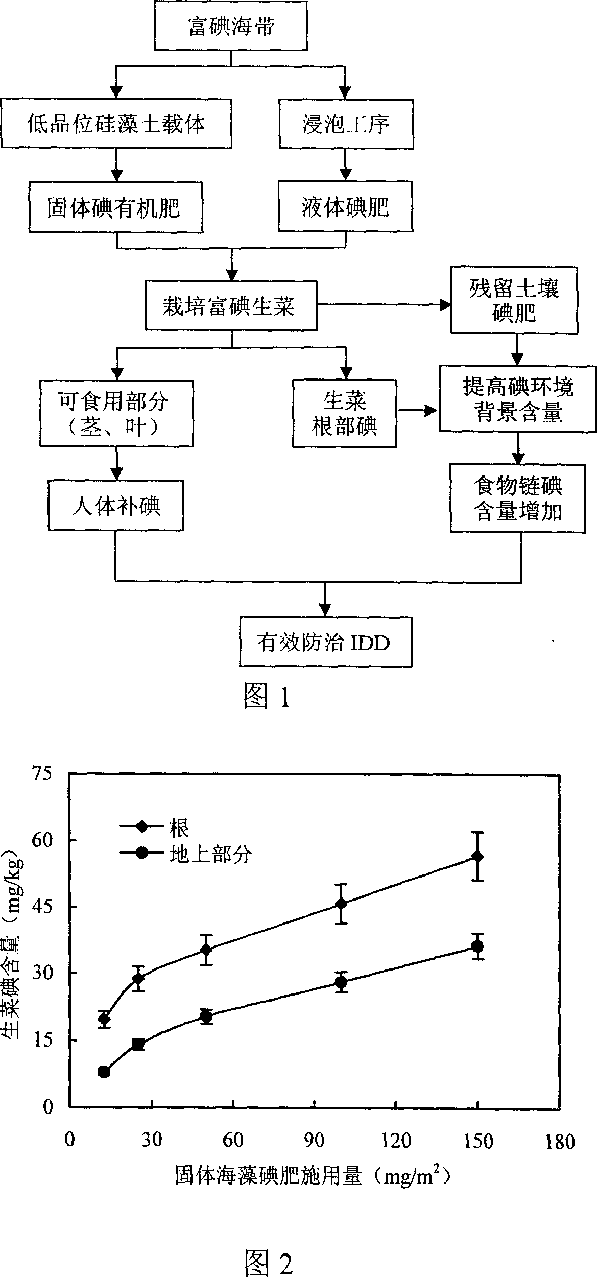 Iodine-rich lettuce cultivation method