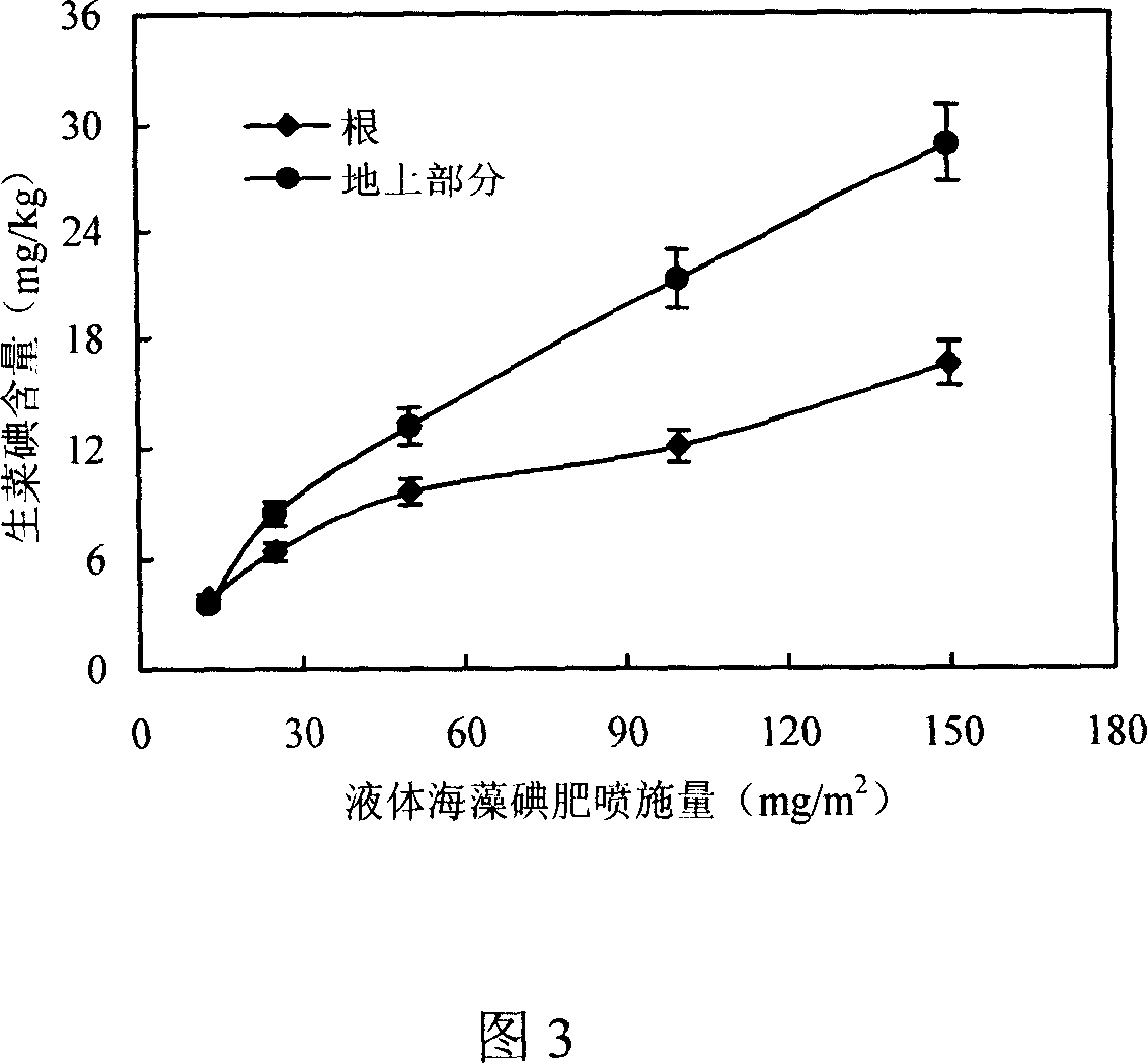 Iodine-rich lettuce cultivation method