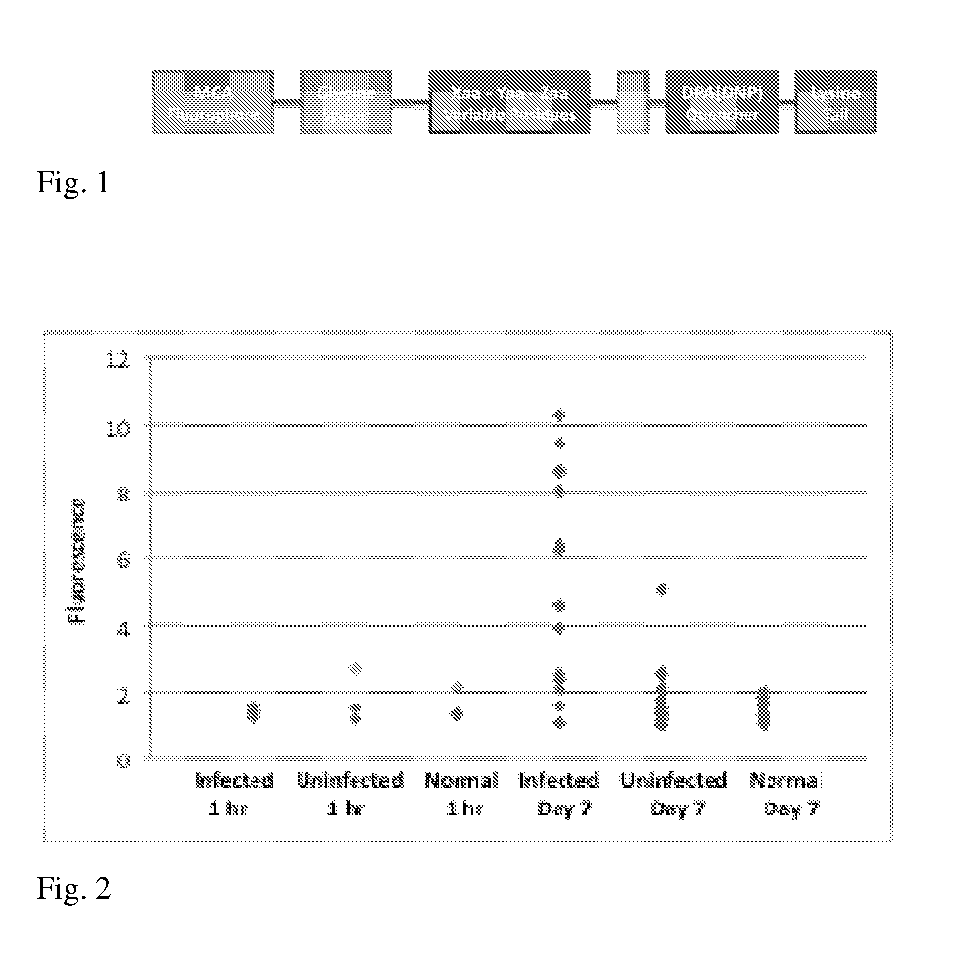 Prolyl Endopeptidase Probes