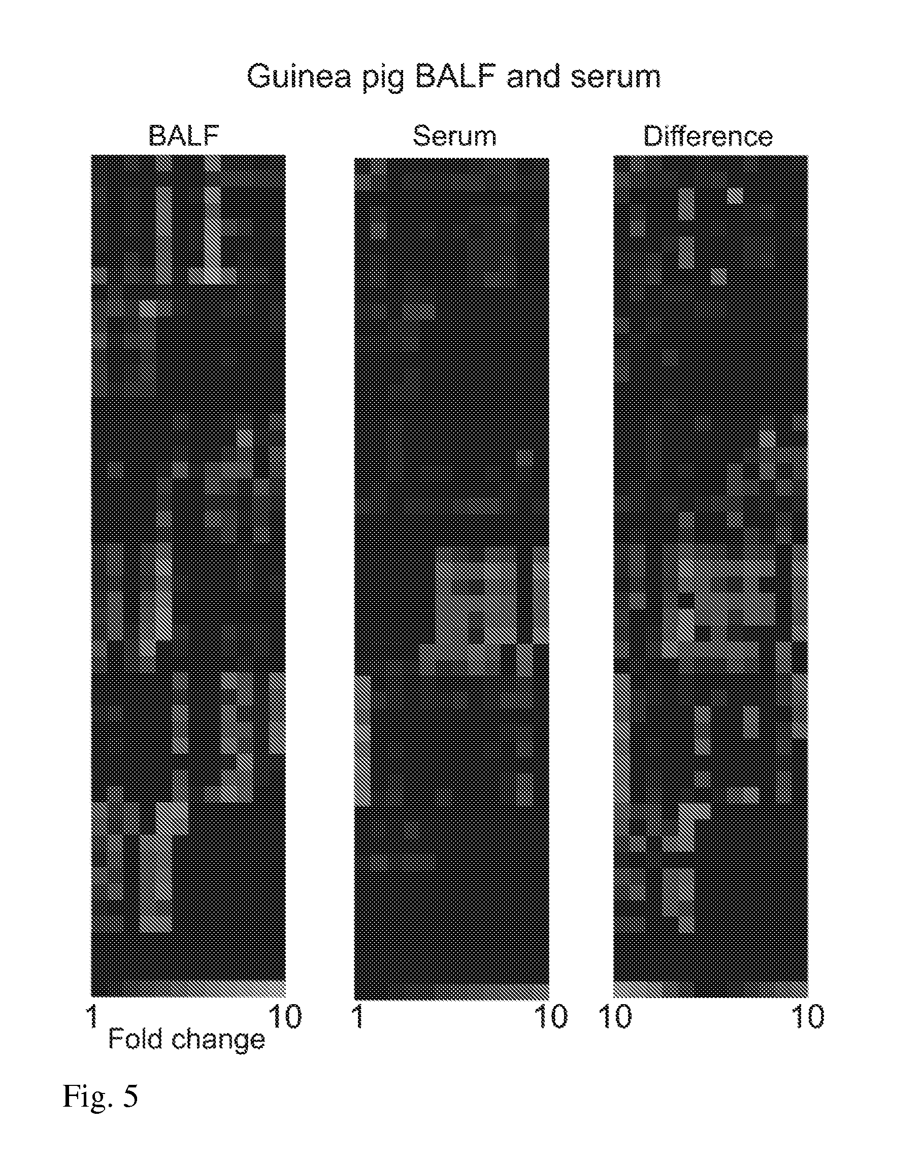 Prolyl Endopeptidase Probes