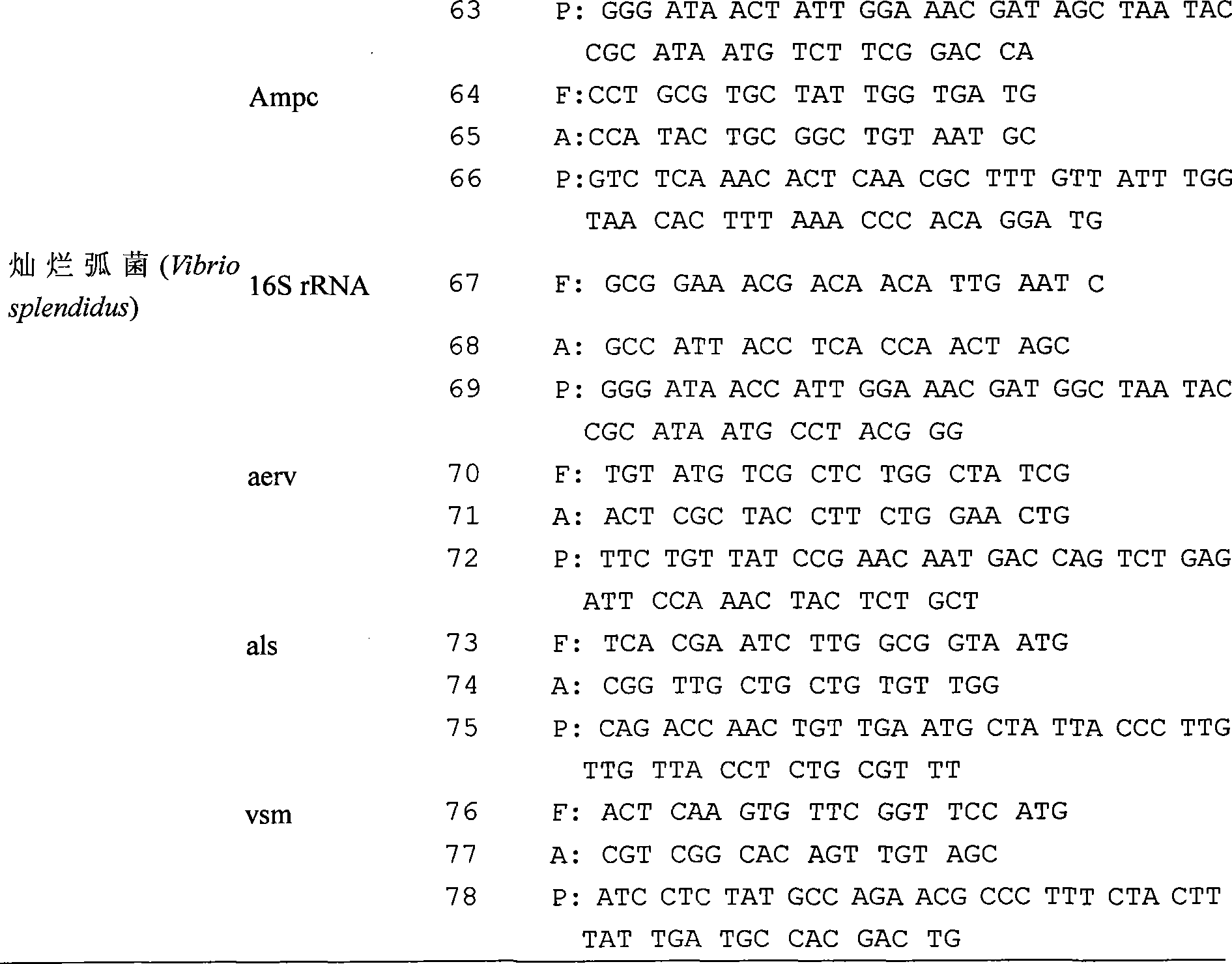 Chip for gene detection of multiple vibrios at the same time, and detection and use thereof