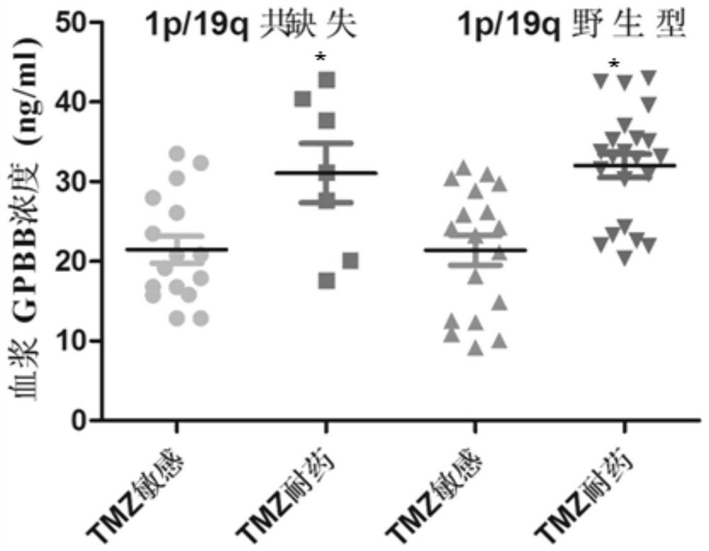 Application of a biomarker for predicting temozolomide resistance