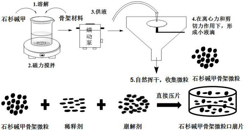 Huperzine-A framework particles, orally disintegrating tablets and preparation methods thereof