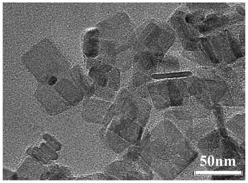 Monoatomic catalyst, and preparation method and applications thereof