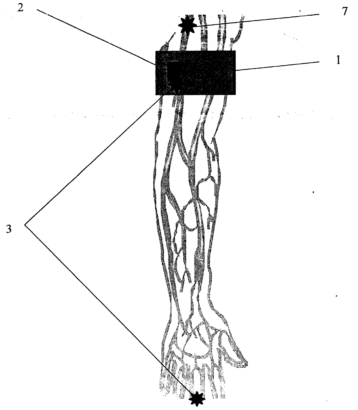 Blood pressure detection method and apparatus based on arterial load and photoelectric pulse wave