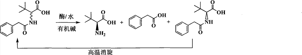 Continuous enzymatic method for producing L-tert-leucine