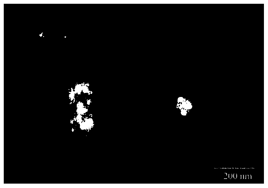 Double-drug albumin nanoparticles and preparation technology