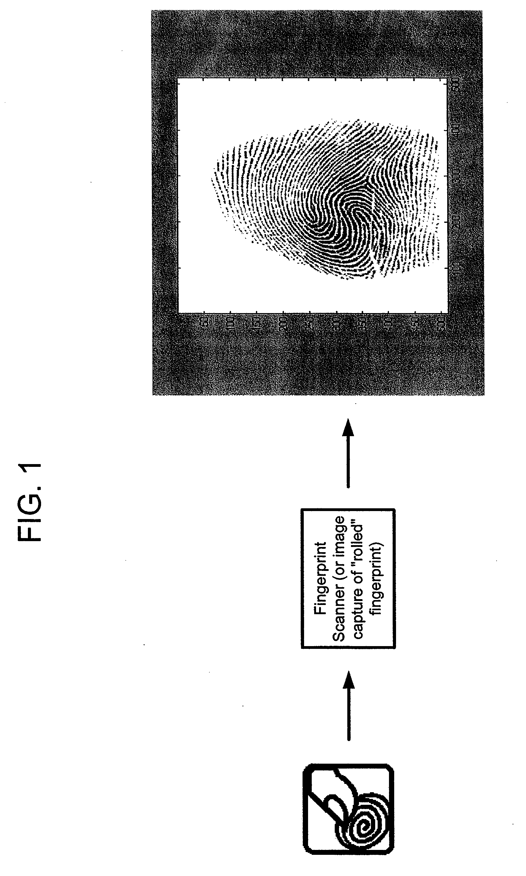 Statistical Quality Assessment of Fingerprints