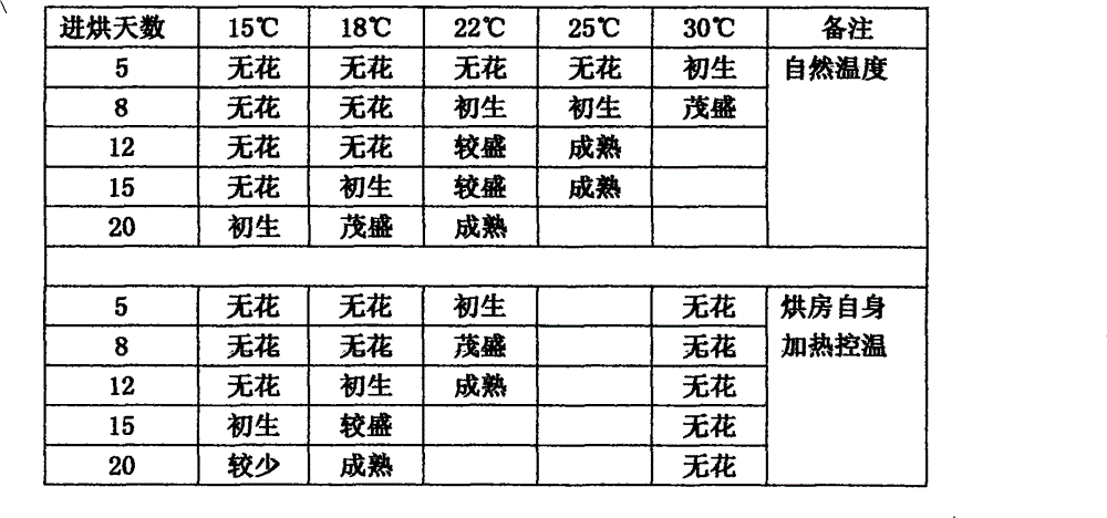 Preparation method of producing high-quality Anhua fu brick tea