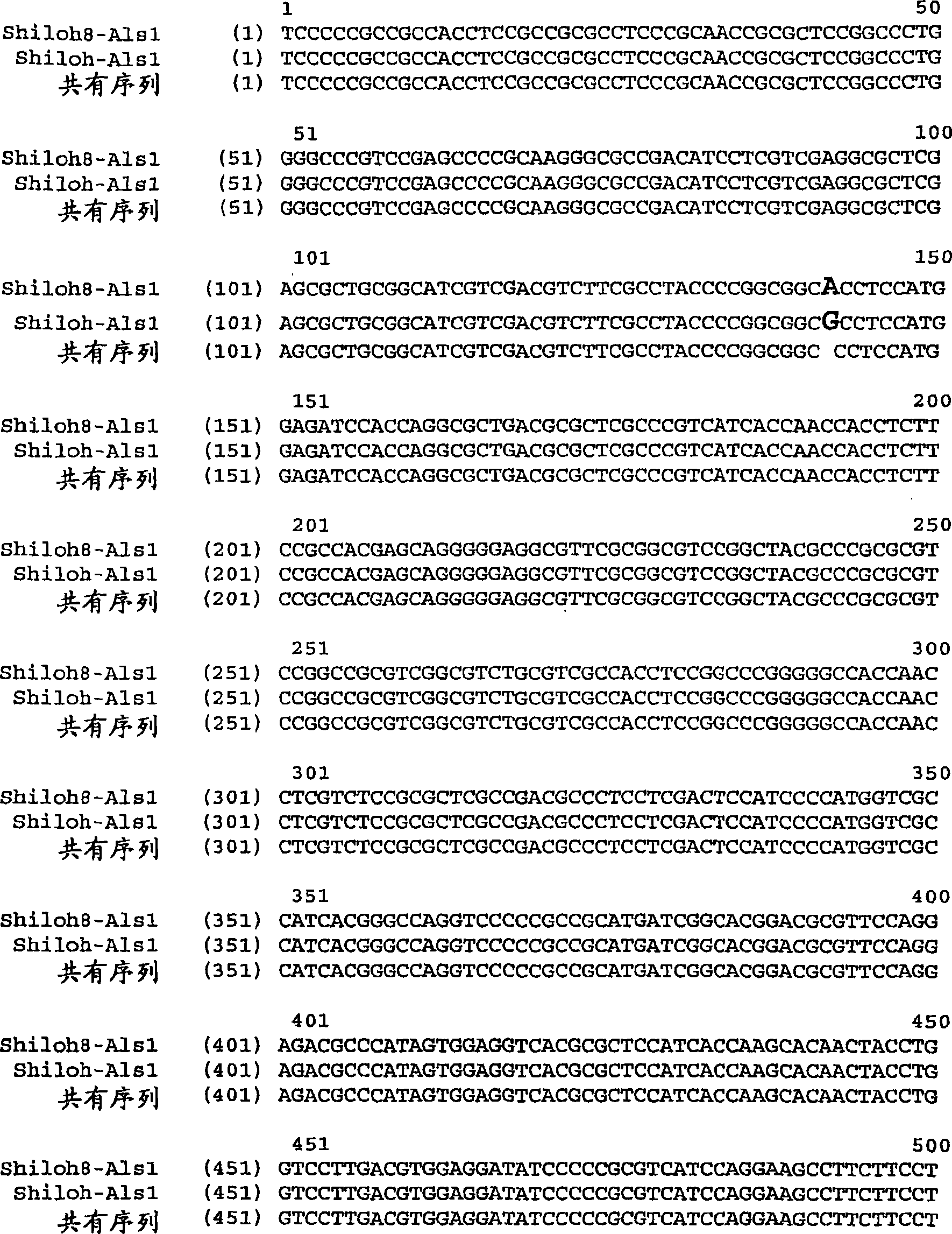 Novel mutation involved in increased tolerance to imidazolinone herbicides in plants