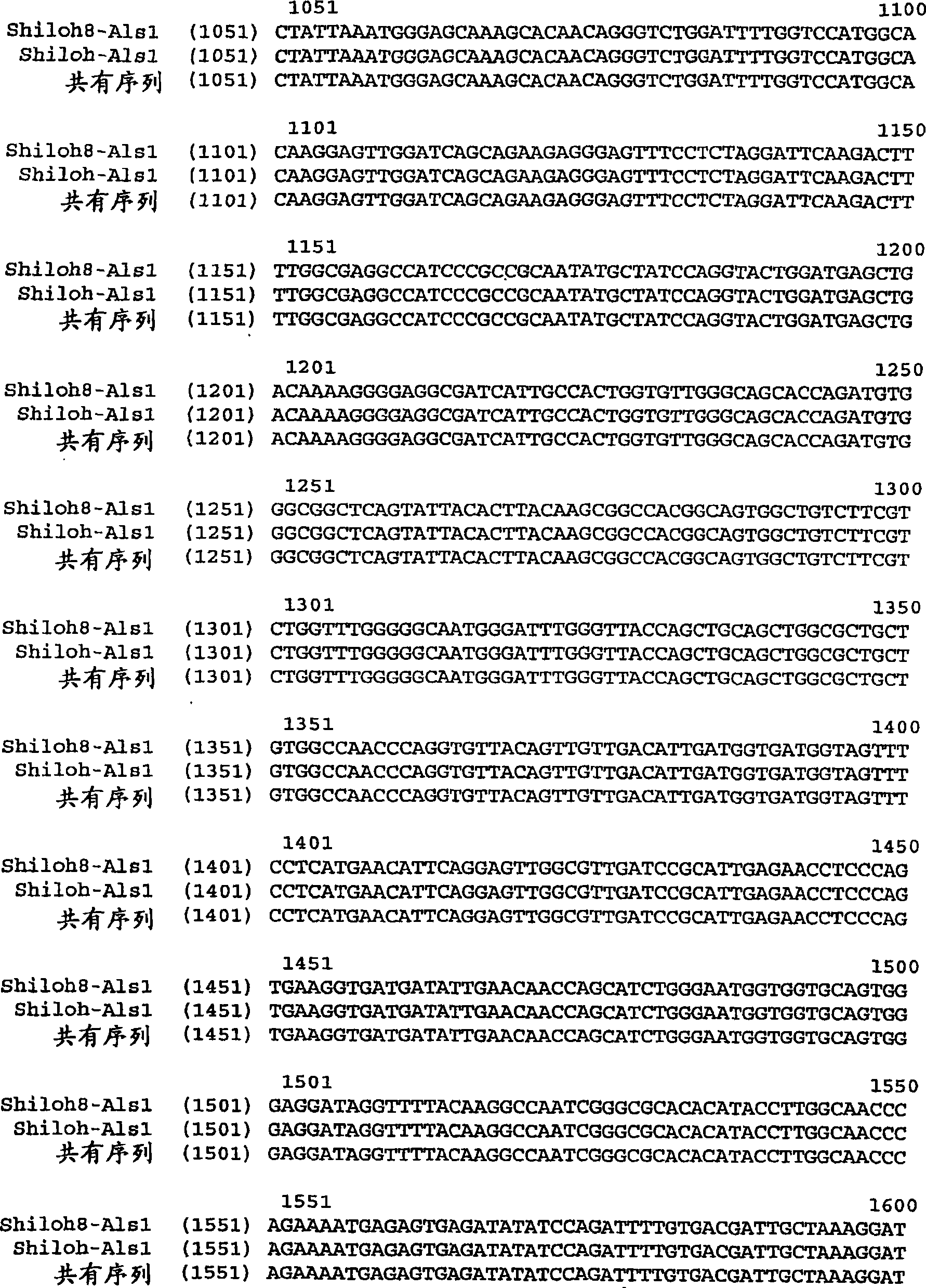 Novel mutation involved in increased tolerance to imidazolinone herbicides in plants