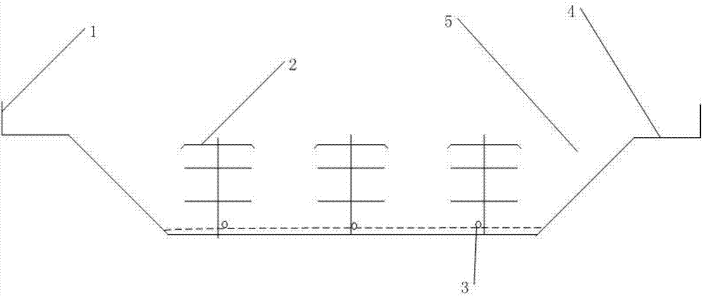 Method for culturing flame turtles