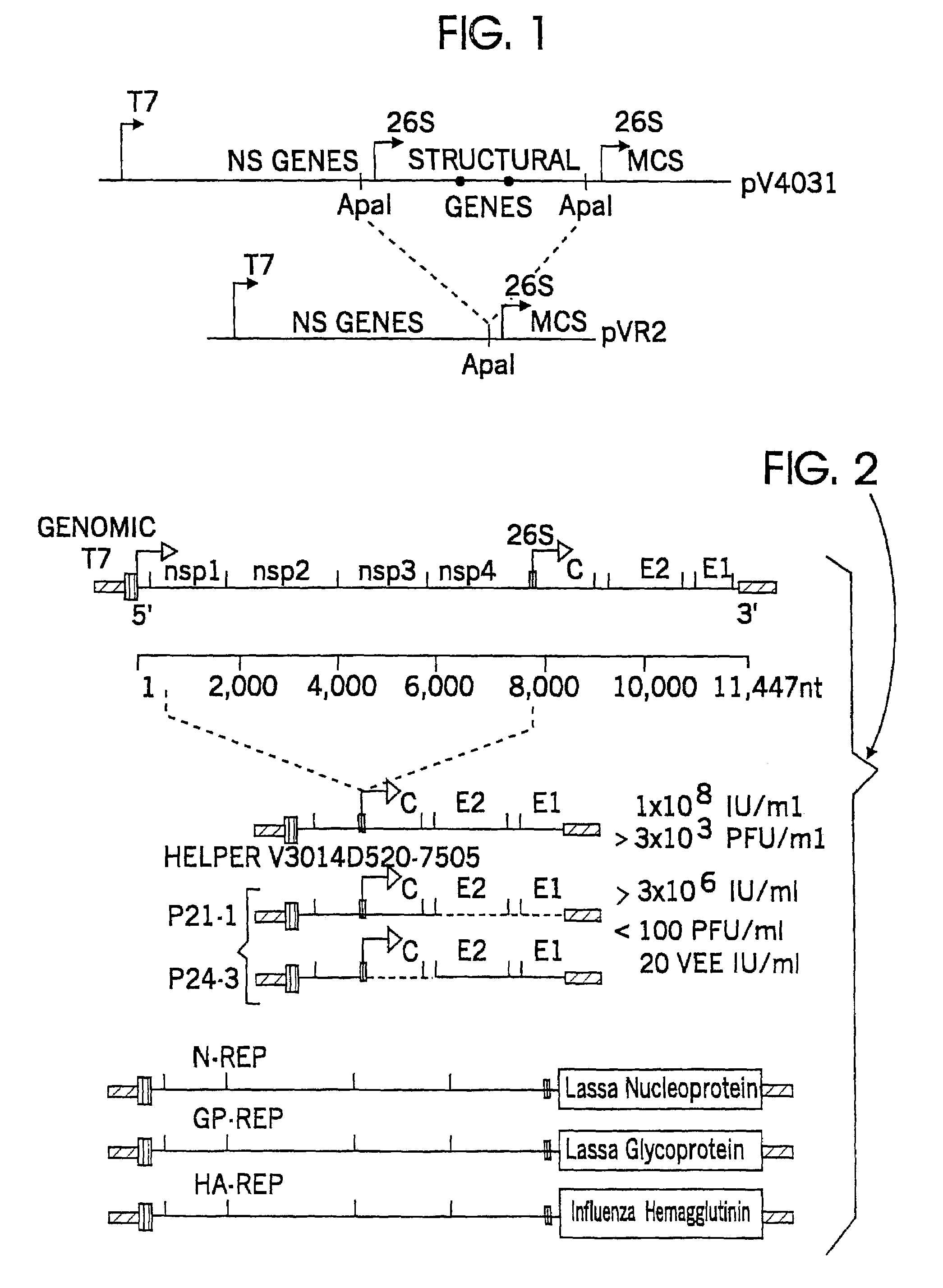 Alphavirus RNA replicon systems