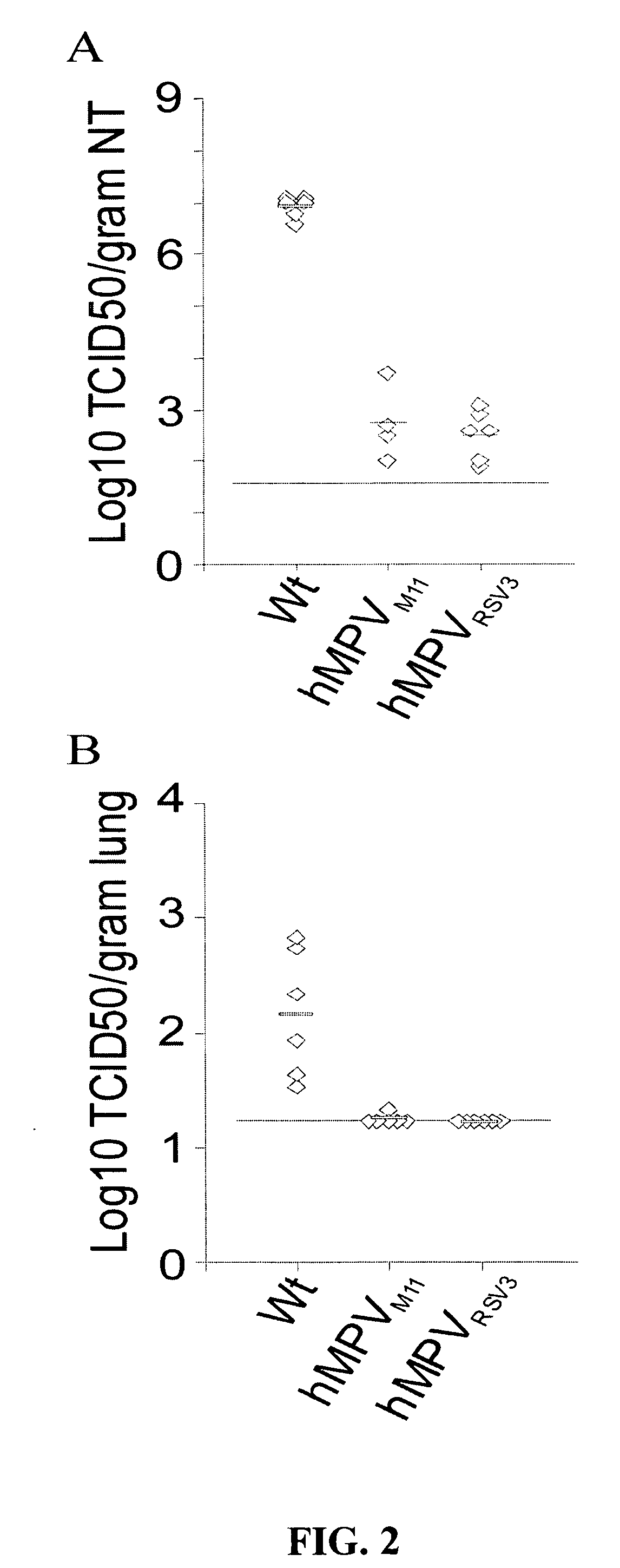 Live attenuated metapneumovirus strains and their use in vaccine formulations and chimeric metapneumovirus strains