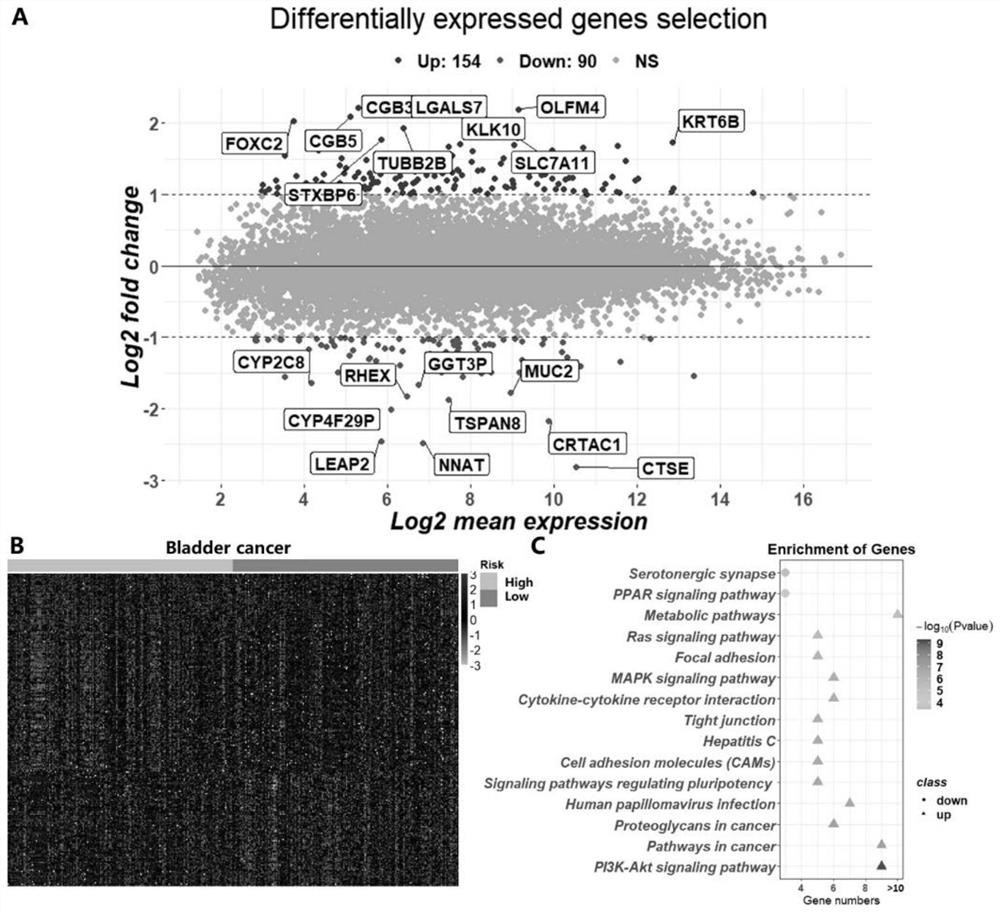 Deep learning method for predicting prognosis risk of cancer patient based on multi-omics data