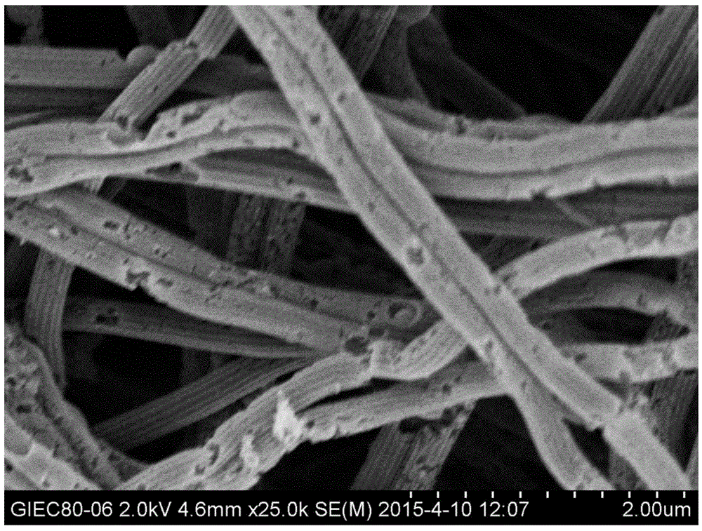 Cobweb-based porous activated carbon fiber material and application