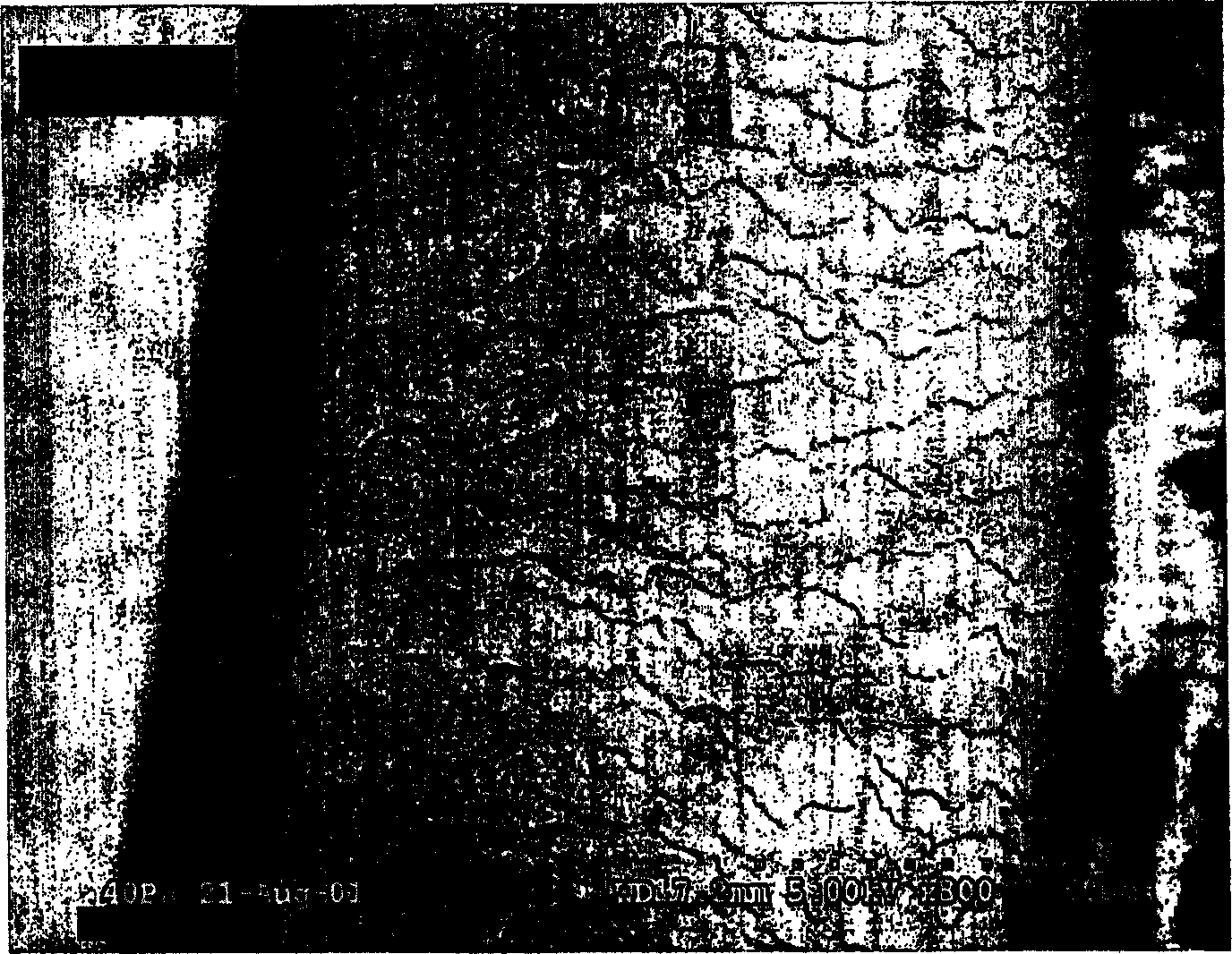 Method for the ultrasonic treatment of hair and other keratinous fibers