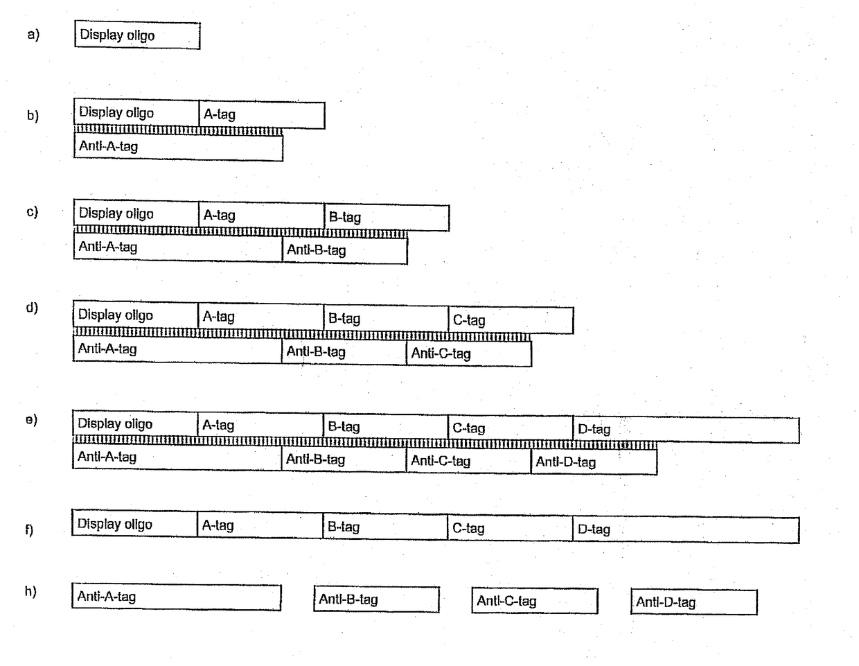 Enzymatic encoding methods for efficient synthesis of large libraries