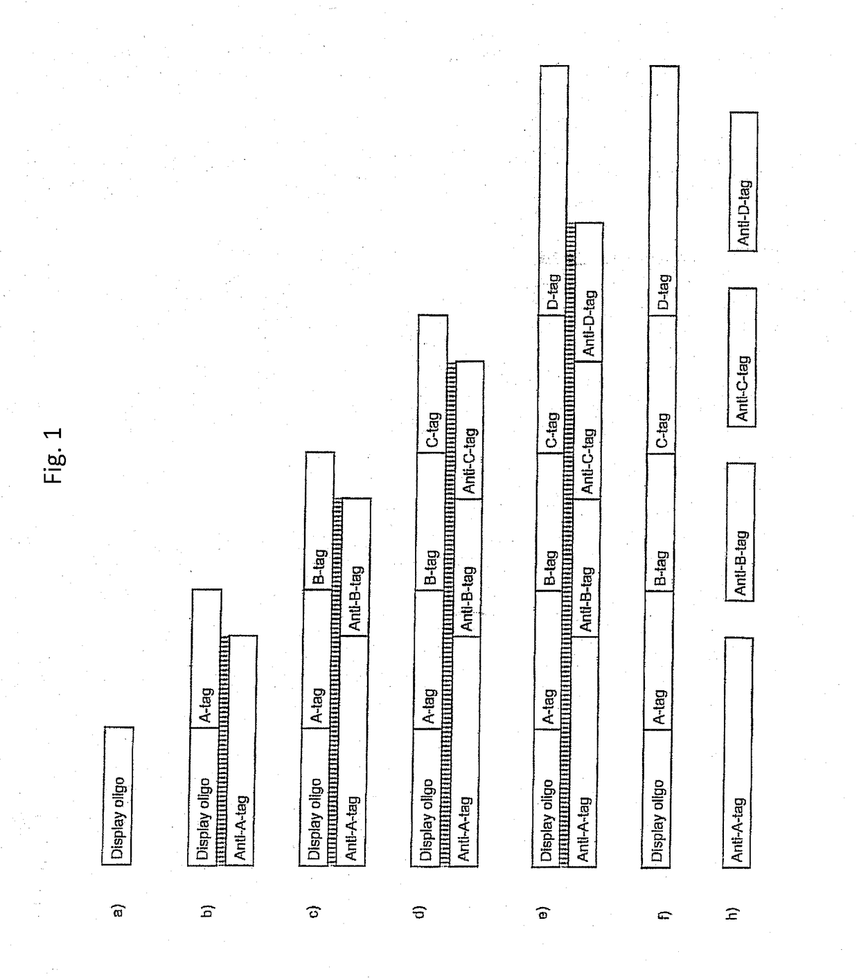 Enzymatic encoding methods for efficient synthesis of large libraries