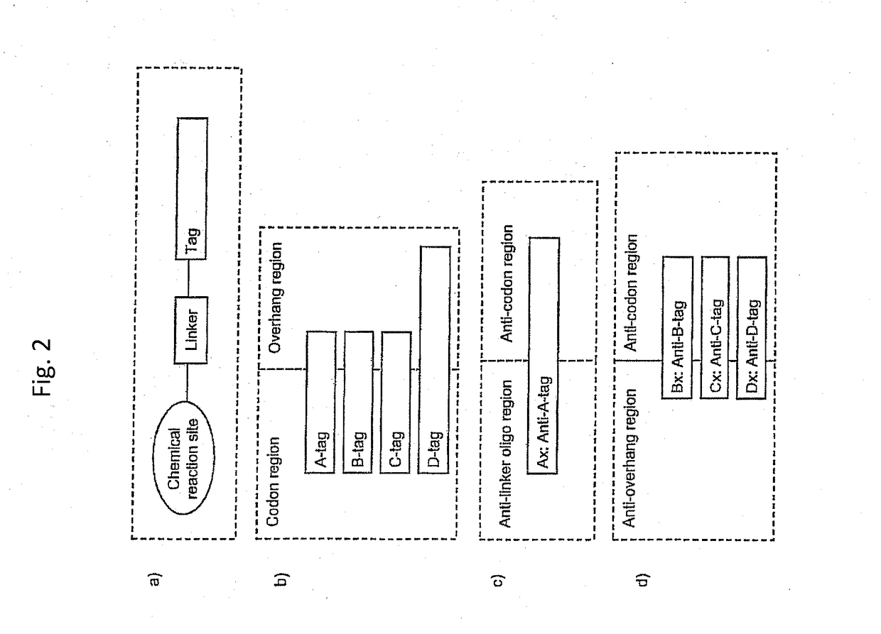 Enzymatic encoding methods for efficient synthesis of large libraries