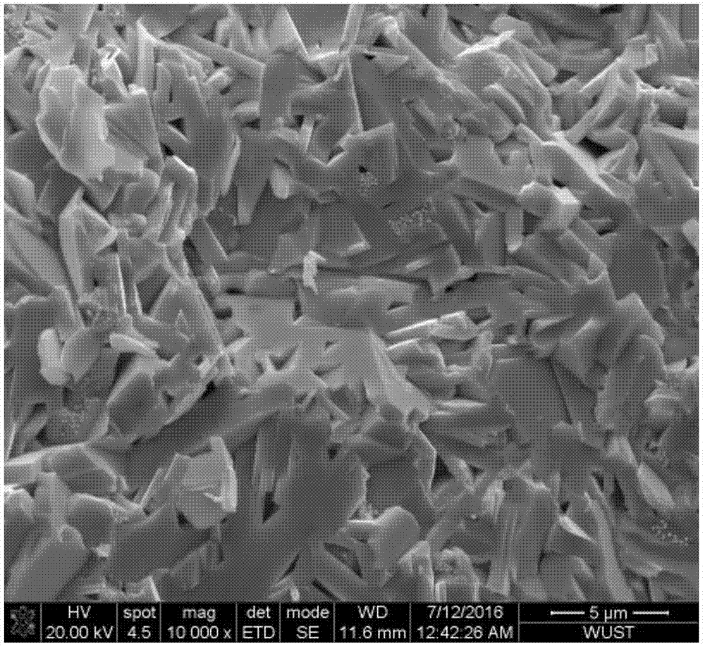 Sb doped BiCuSeO thermoelectric material and preparation method thereof