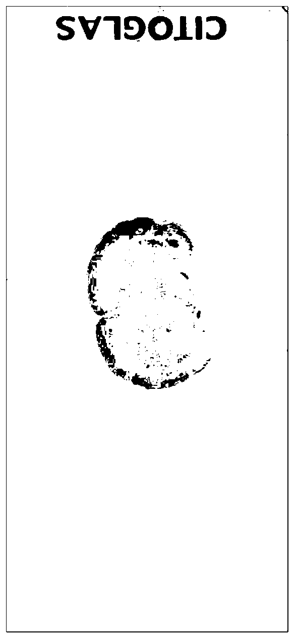 Method for focusing camera image in digital slice scanner