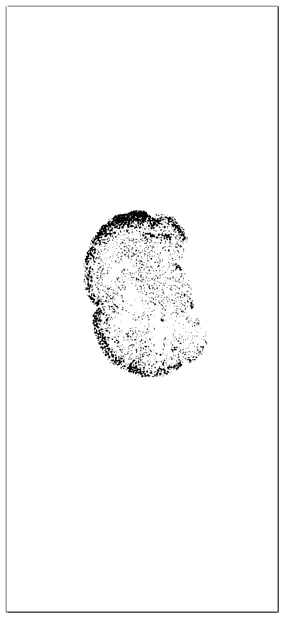 Method for focusing camera image in digital slice scanner