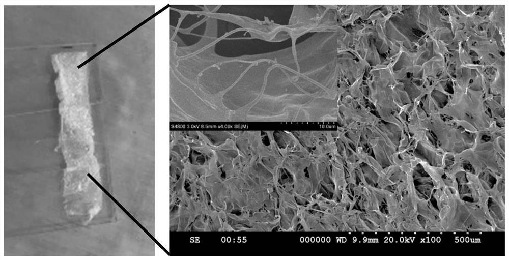 A bioactive scaffold for repairing the endometrium and enhancing fertility