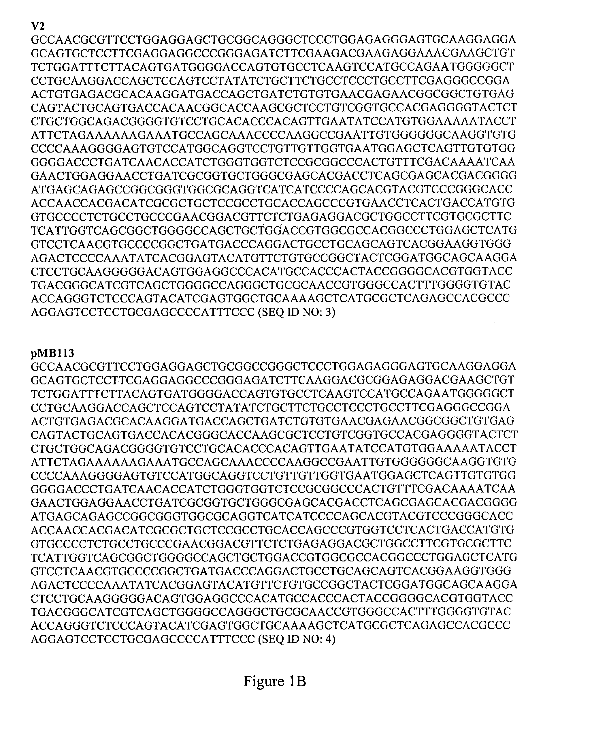 Short-acting factor vii polypeptides