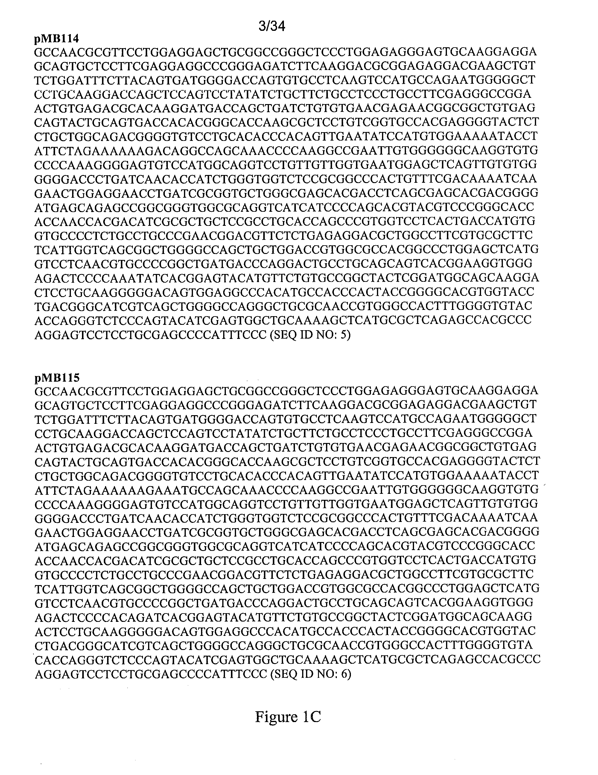 Short-acting factor vii polypeptides