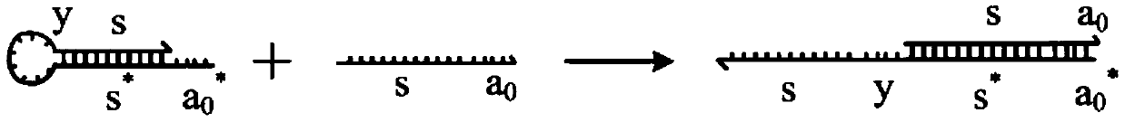 Molecular circuits of AND gate, NOT gate, XOR and half-subtractor based on DNA hairpin structure